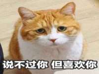 丹阳市阿平电子商务有限公司