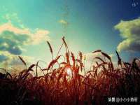 丹阳市阿平电子商务有限公司