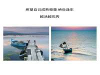 丹阳市阿平电子商务有限公司