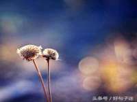 丹阳市阿平电子商务有限公司
