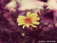 丹阳市阿平电子商务有限公司