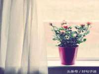 丹阳市阿平电子商务有限公司