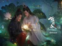 丹阳市阿平电子商务有限公司