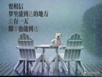 丹阳市阿平电子商务有限公司