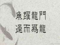 丹阳市阿平电子商务有限公司