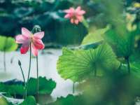 丹阳市阿平电子商务有限公司