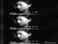 丹阳市阿平电子商务有限公司