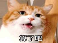 丹阳市阿平电子商务有限公司