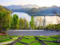 丹阳市阿平电子商务有限公司