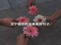 丹阳市阿平电子商务有限公司