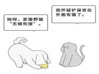 丹阳市阿平电子商务有限公司