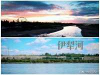 丹阳市阿平电子商务有限公司