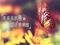 丹阳市阿平电子商务有限公司