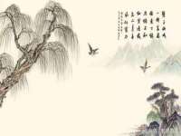 丹阳市阿平电子商务有限公司