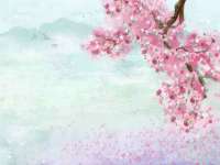 丹阳市阿平电子商务有限公司