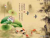 丹阳市阿平电子商务有限公司