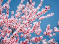 丹阳市阿平电子商务有限公司