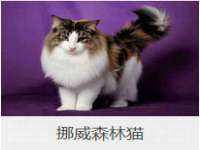 丹阳市阿平电子商务有限公司
