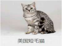 丹阳市阿平电子商务有限公司