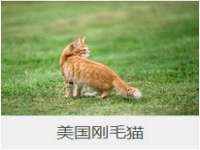 丹阳市阿平电子商务有限公司