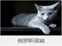 丹阳市阿平电子商务有限公司