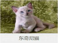丹阳市阿平电子商务有限公司