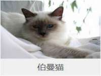 丹阳市阿平电子商务有限公司