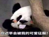 丹阳市阿平电子商务有限公司