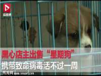 丹阳市阿平电子商务有限公司