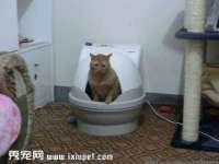 丹阳市阿平电子商务有限公司