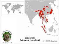 丹阳市阿平电子商务有限公司