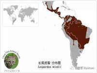 丹阳市阿平电子商务有限公司