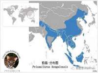 丹阳市阿平电子商务有限公司