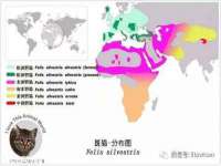 丹阳市阿平电子商务有限公司