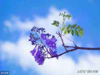 丹阳市阿平电子商务有限公司