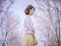 丹阳市阿平电子商务有限公司