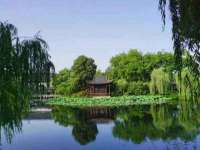 丹阳市阿平电子商务有限公司
