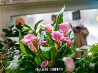 丹阳市阿平电子商务有限公司
