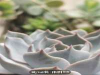 丹阳市阿平电子商务有限公司