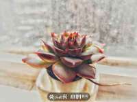 丹阳市阿平电子商务有限公司
