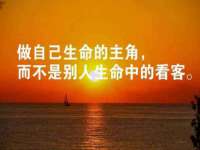 丹阳市阿平电子商务有限公司