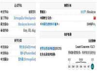 丹阳市阿平电子商务有限公司