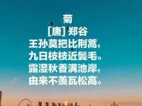 丹阳市阿平电子商务有限公司