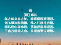丹阳市阿平电子商务有限公司