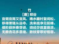 丹阳市阿平电子商务有限公司