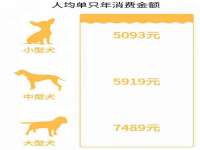 丹阳市阿平电子商务有限公司