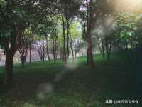 丹阳市阿平电子商务有限公司
