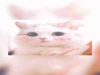 丹阳市阿平电子商务有限公司