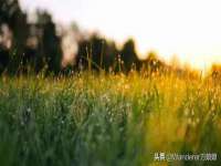 丹阳市阿平电子商务有限公司