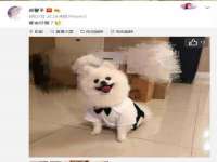 丹阳市阿平电子商务有限公司